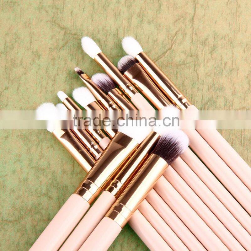 Professional 12pcs eye shadow makeup brush Set