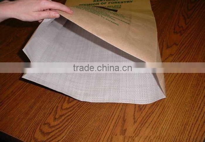 plastic paper bag/cement plastic paper bag/plastic-paper kraft bag