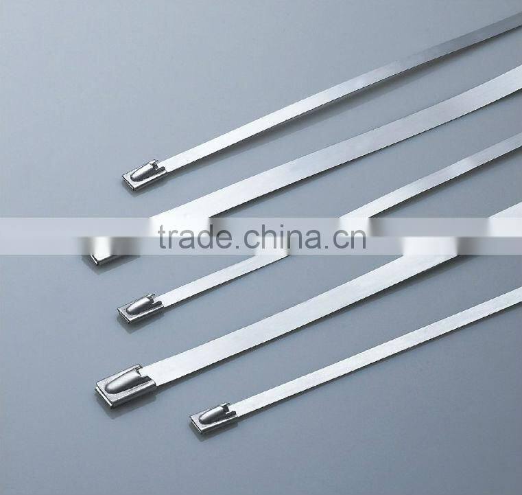 Supply chinl brand 304 stainless steel cable Ties 7.9*300(ISO9001 UL)