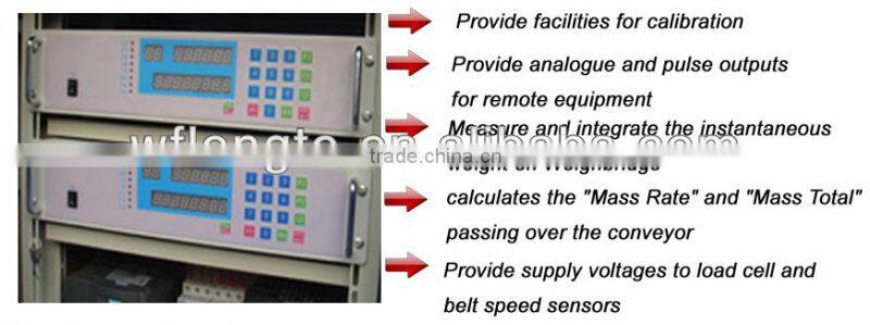 Electronic conveyor digital weighing scale-manufacturer