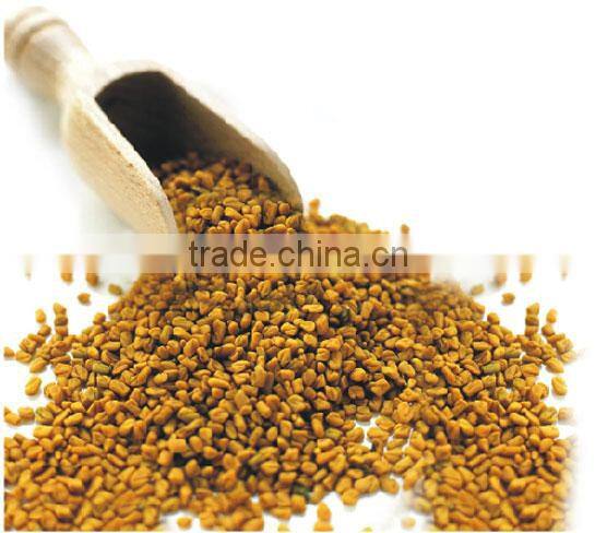 Fenugreek seeds