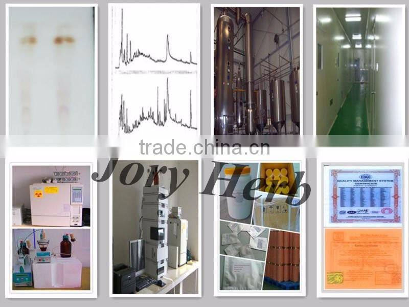 Hot Sale Ginkgo Biloba Extract Powder