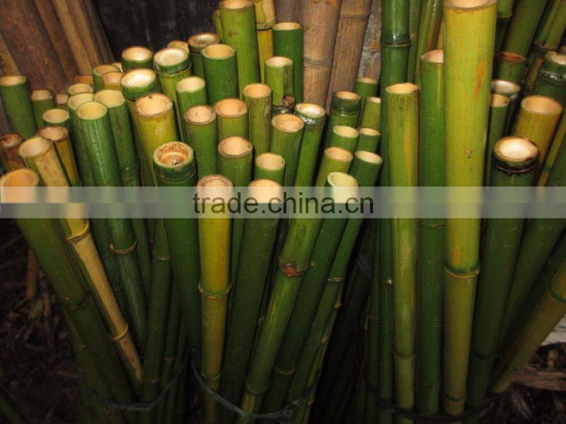 60cm- 700cm Length of bamboo
