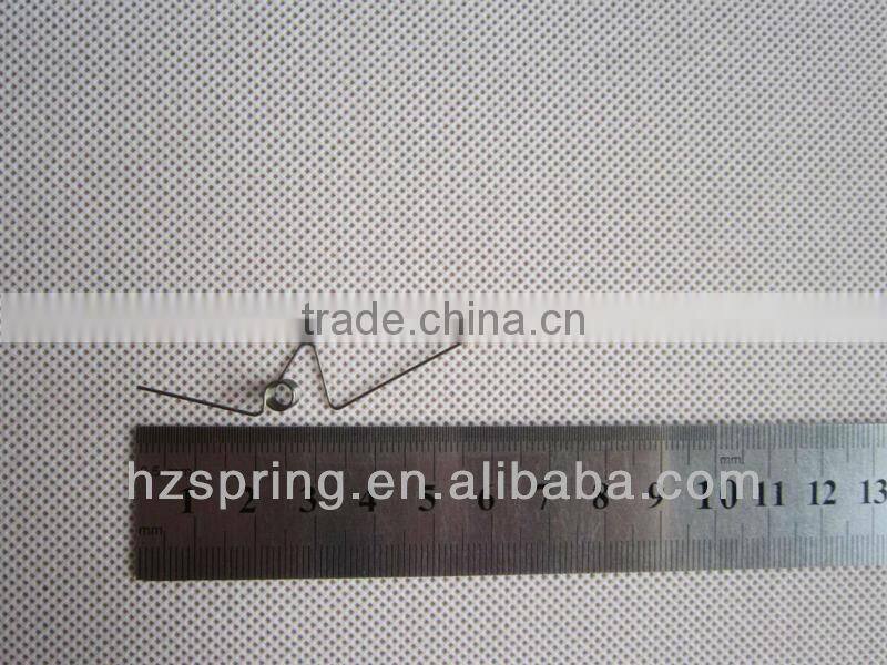 Precision Torsion Spring
