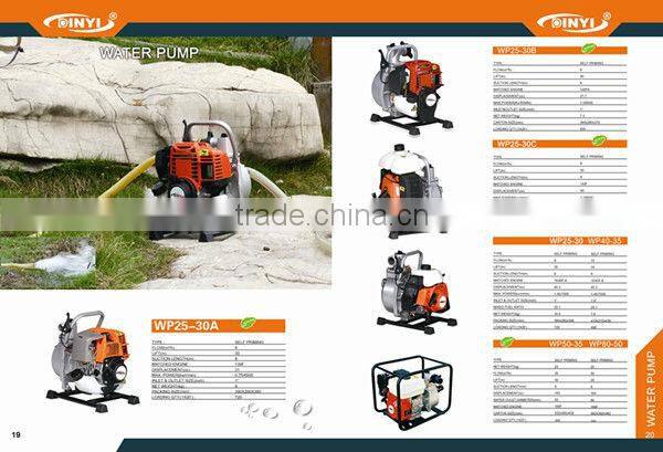 pumps for swimming pool