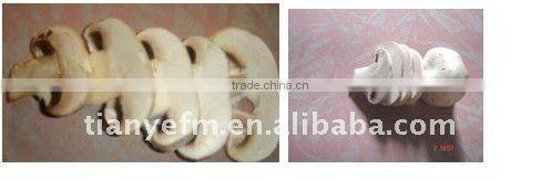 TW-907 Food Cutter with high good qulity (video)