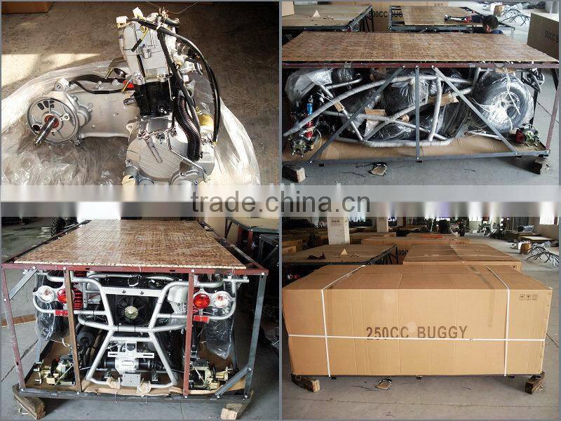 RENLI 250cc adult pedal go kart