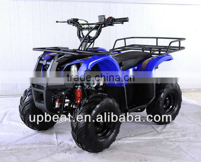 NEW DIRT AUTO QUAD BIKE ATV BUGGY 110cc PEEWEE CYCLONE