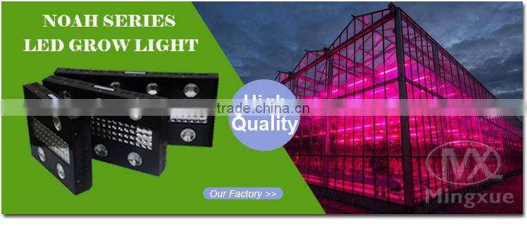 600W Noah4 Full Spectrum Indoor Plant Cob Led Grow Light