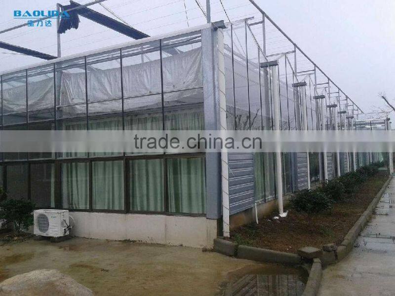 Galvanized Steel Pipes Greenhouse Covered BY Tempered Glass For Agriculture /Commercial