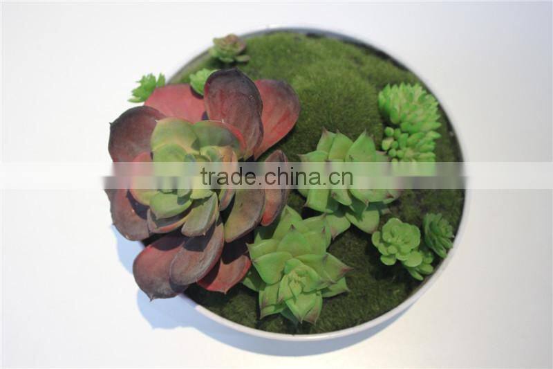 brand name plastic small multicapacity process artificial round plate bonsai decor