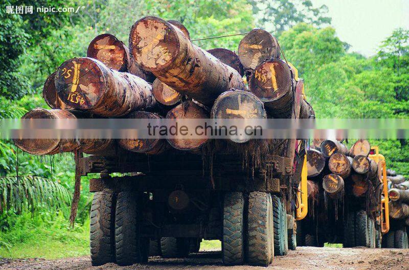 cast iron Manual Log Wood Splitter BR002SP