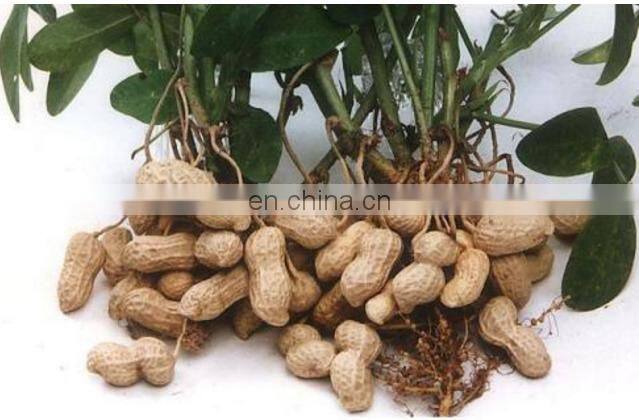 Commercial Hot Sale Peanut Groundnut Picker Machine