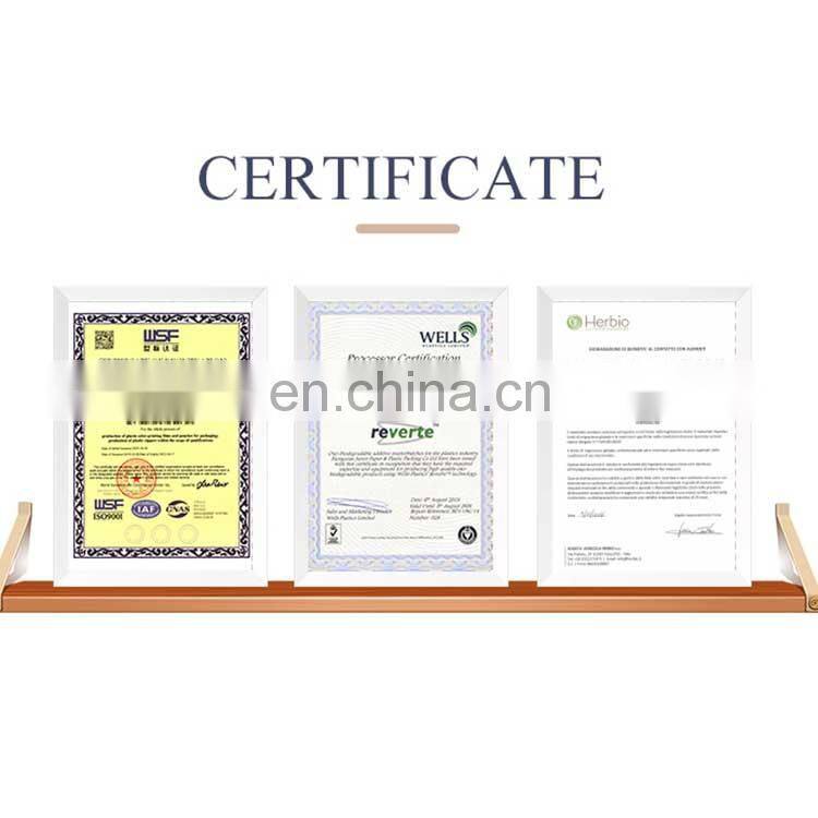 Customized Printed Doy Pack Dried Fruit Packaging Bag