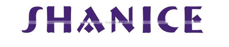 Fruits and vegetable extractor CB-608D ice blender machine