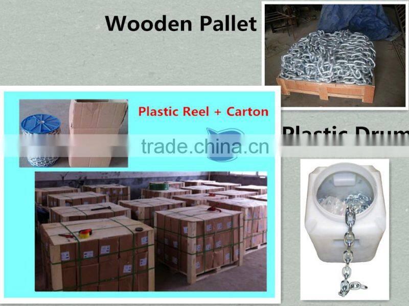 Hot Dip Galvanized Chain