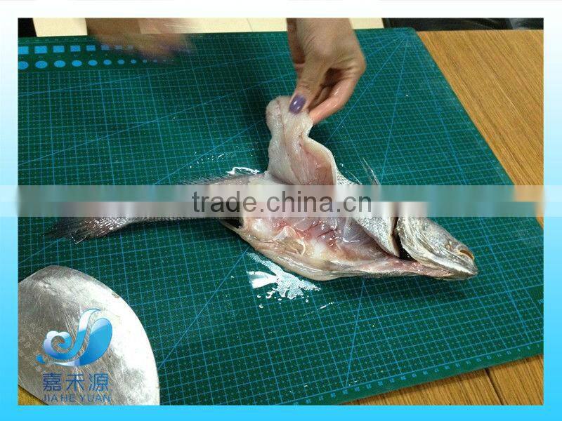 Frozen brown croaker fillet