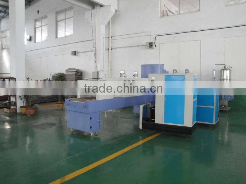 PET Bottle Blowing Machine for water