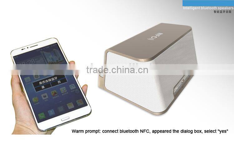 Clear Sound Competitive Car Wireless bluetooth Speaker with FM Outdoor/Indoor