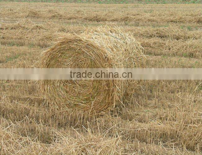 Factory outlet Bale dimension 900mm mini hay baler