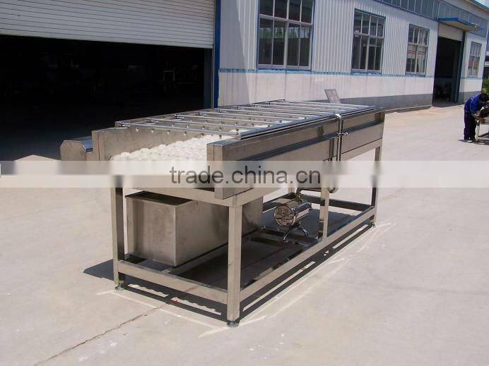 Fruit Brush Washing Machine