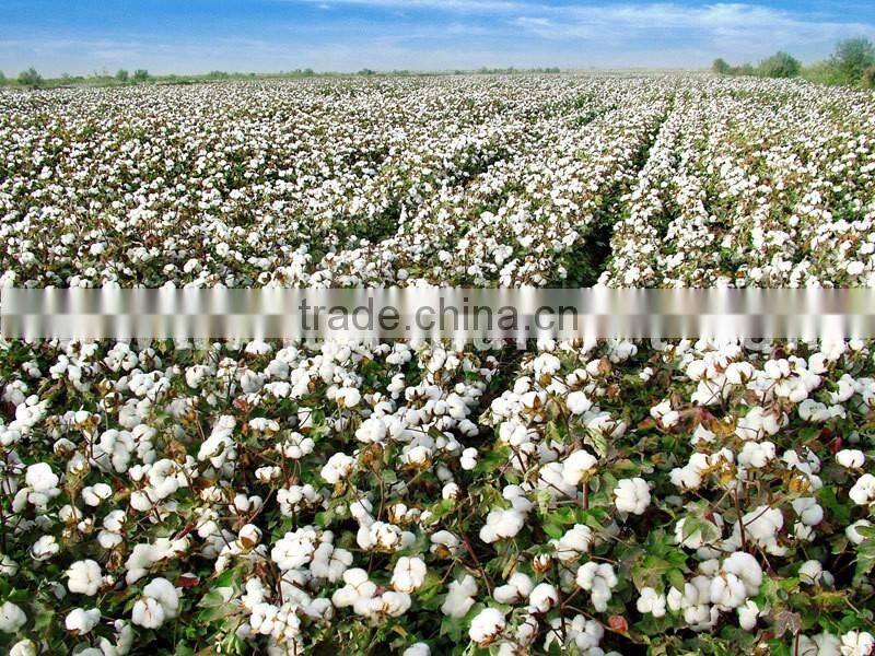 CE certificate fabric cotton wool waste recycling machine with cheap price