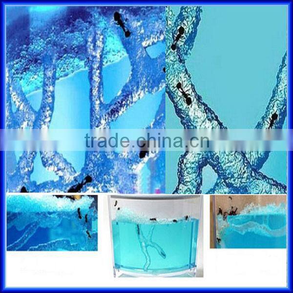 High quality Wholesale Magic Toy Ant Farm for children Education of Ant Worker
