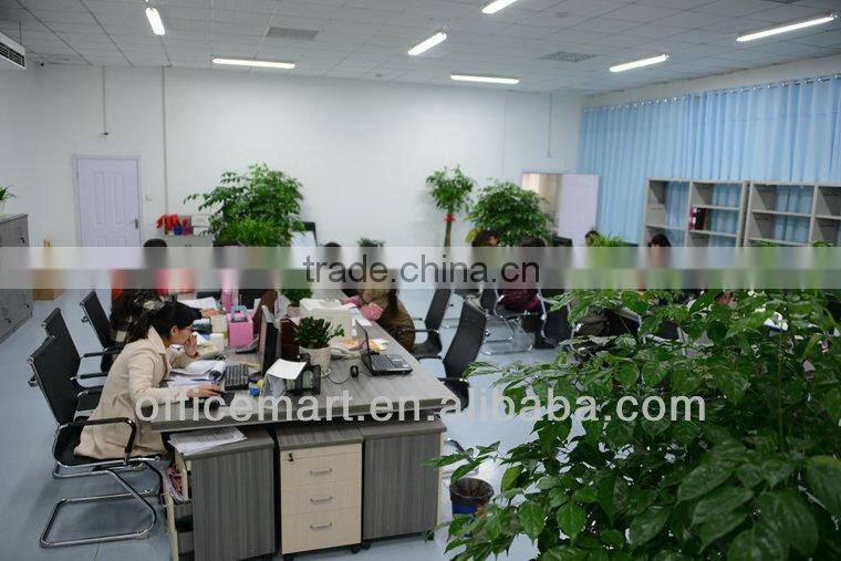 coated artpaper cover lock expanding file