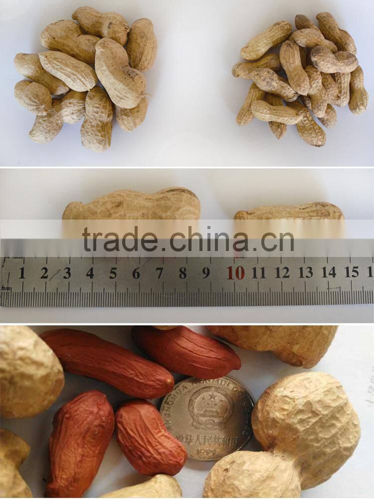 ZHOU TIAN high yield Peanut Seeds