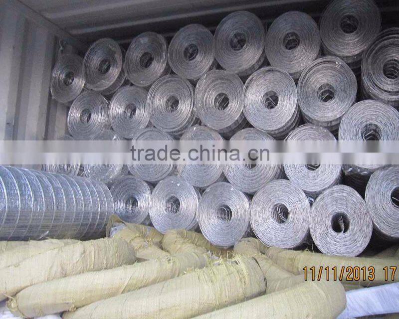 Hot Dipped Galvanized Welded Wire Mesh For Farm Fencing