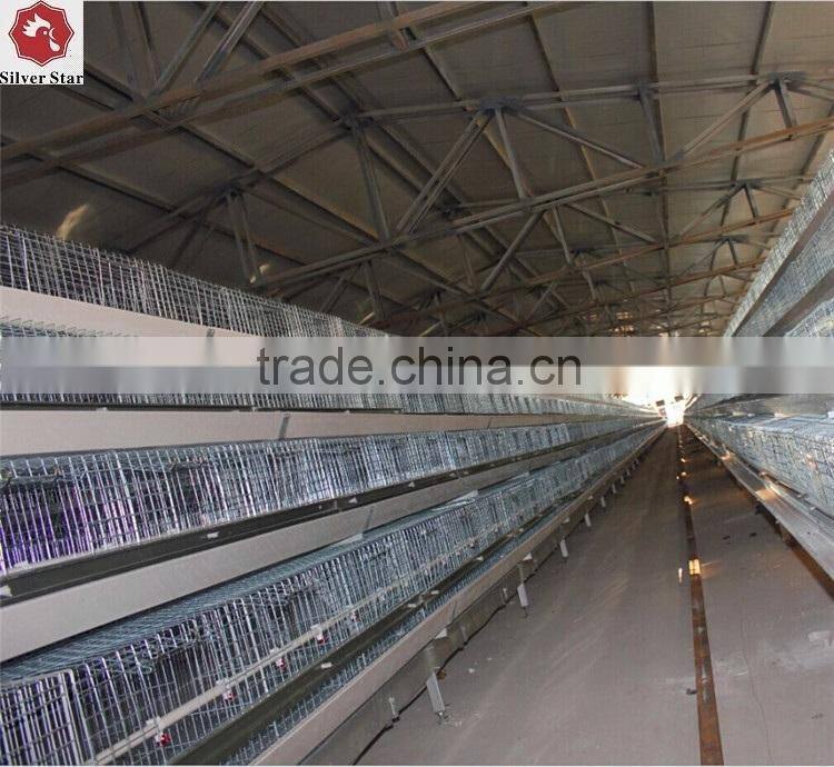 Chicken rearing cage, chicken farm cage for egg laying hens