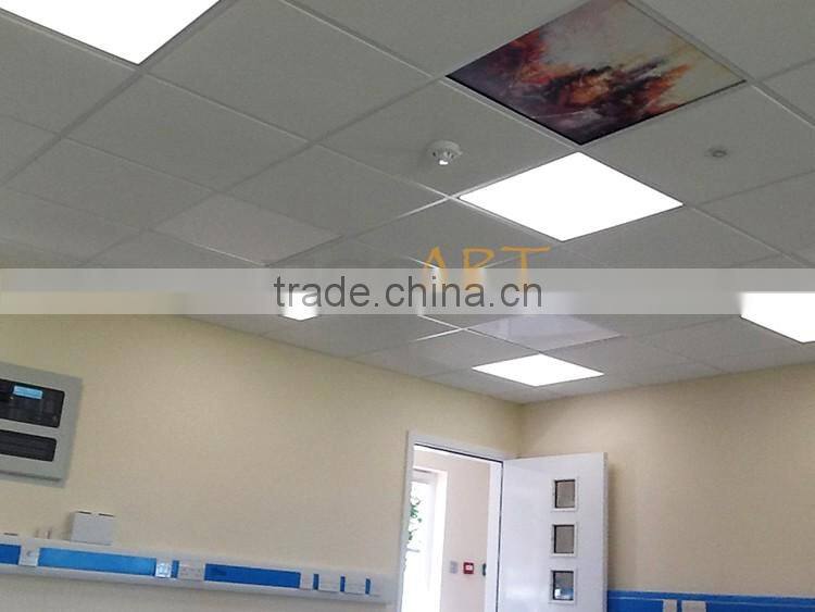 Flower shop energy efficient Electric Frameless Ceiling Radiant Heaters