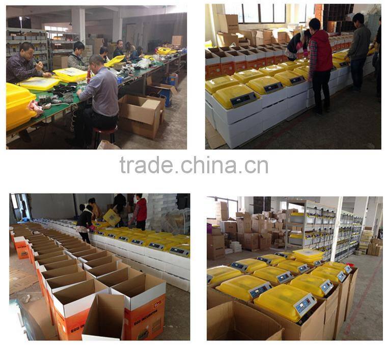 Small little turtle incubator / automatic egg incubator