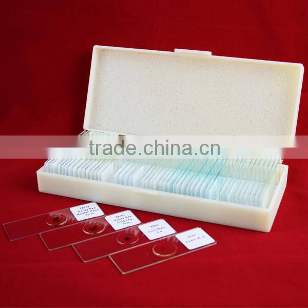 Children Microscope,Child Microscope,Students Microscope