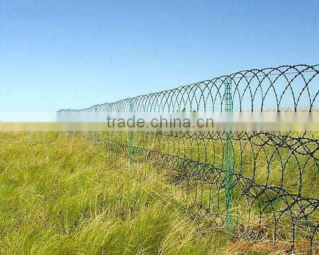 Concertina Razor Barbed Wire