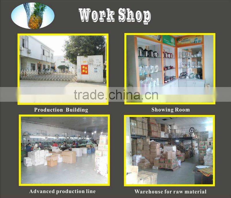 Slow juicer-2014 citrus juicer