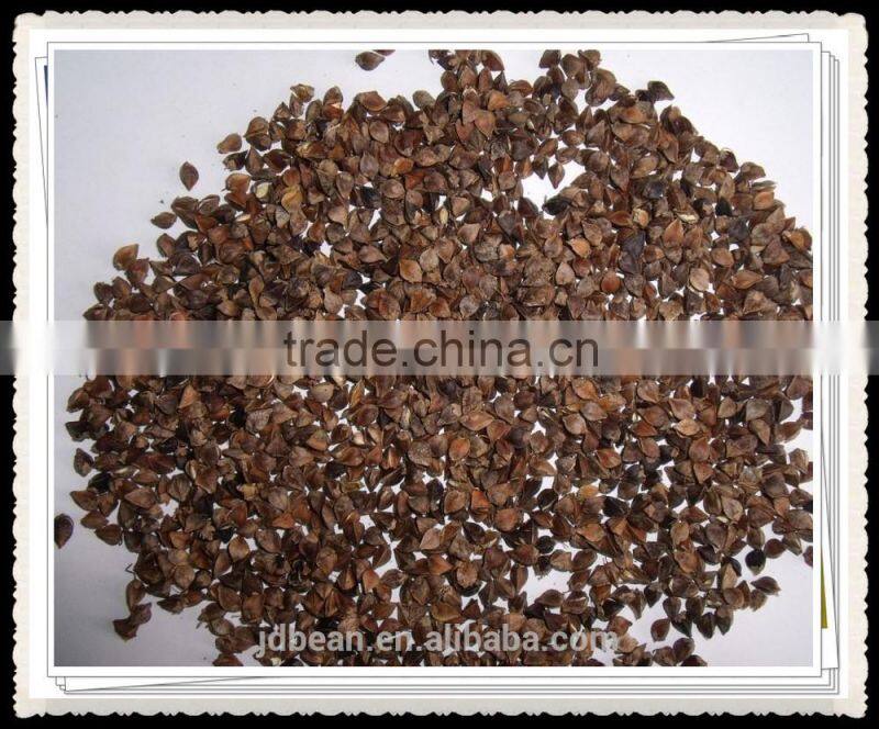 Buckwheat Market Price
