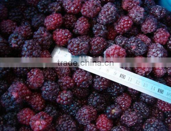 asian frozen vegetables and fruits iqf frozen blackberry