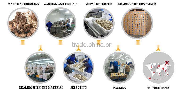 Common Cultivation dry oyster mushroom