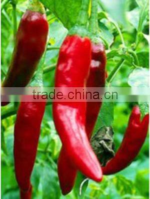 hot sell artificial vegetable,artificial pepper,home and office decoration chilli