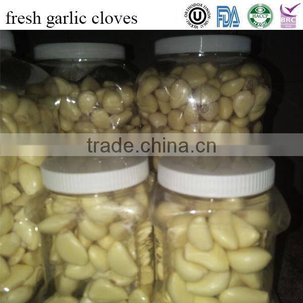 premium fresh garlic cloves from jinxiang
