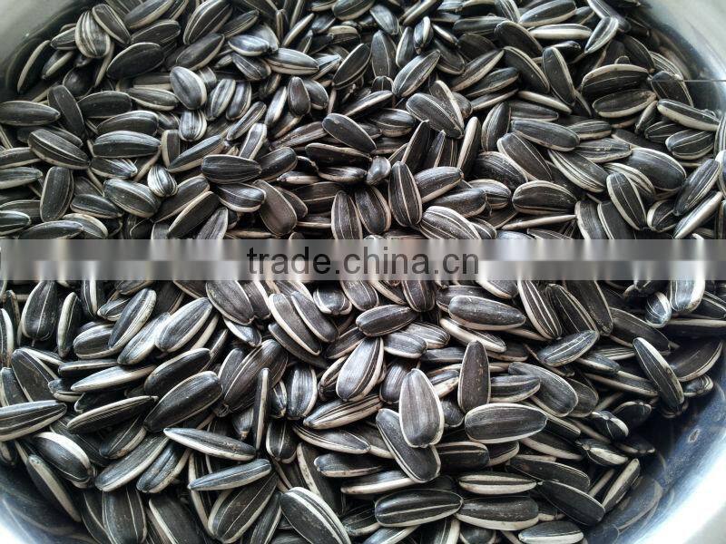 sunflower seeds 5009 new crop 2014