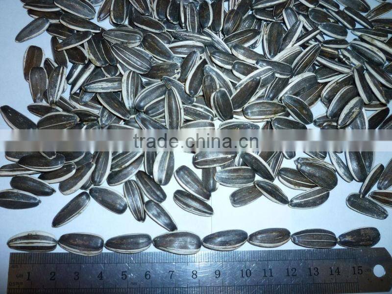 Chinese Sunflower Seeds 24/64 24/68