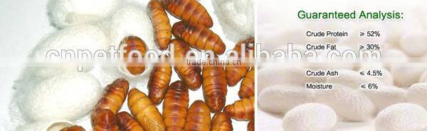 packets food lizard dried silkworm chow