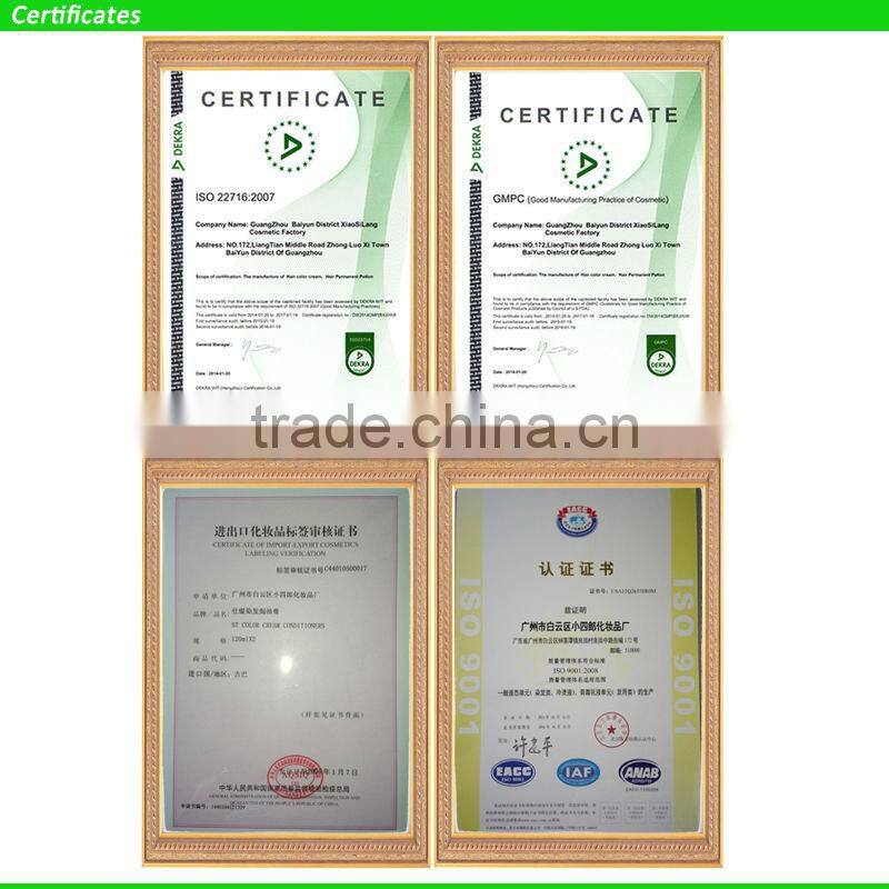 2016 Professional Hot Stable Bleach Powder Hair Color OEM&ODM