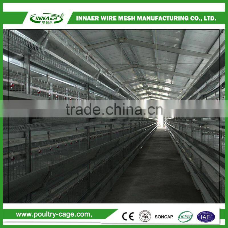 Hot Sale for China Egg Chicken Cage(ISO9001) for Poultry farming