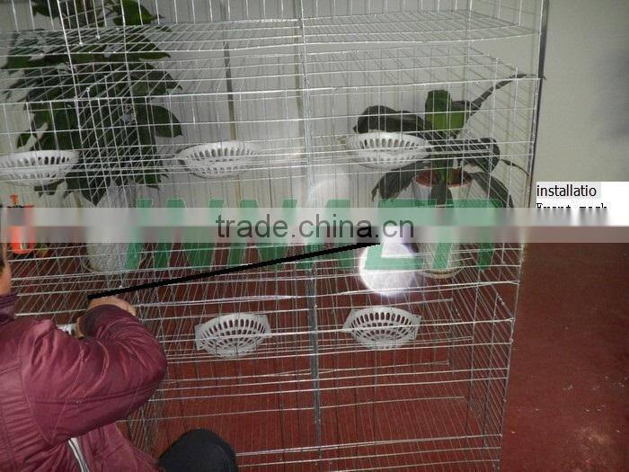 Qatar Poultry Farm Racing Pigeon Cage