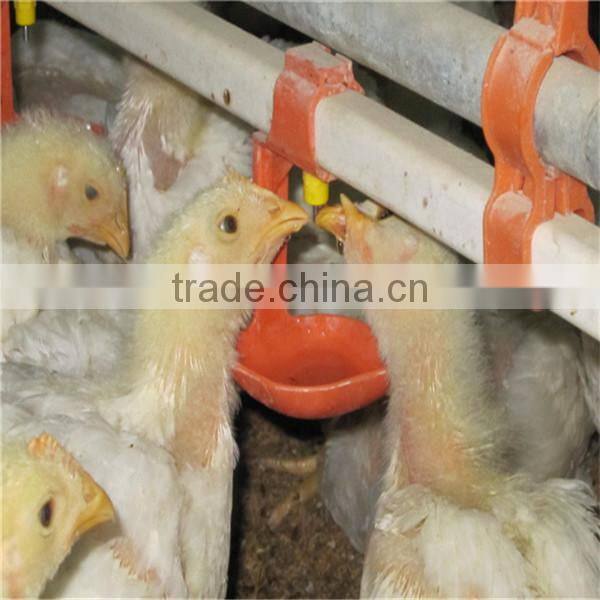 broiler chicken water line equipment