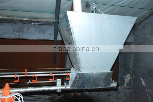 Automatic poultry broiler pan feeding system