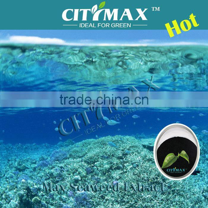 soil conditioner seaweed